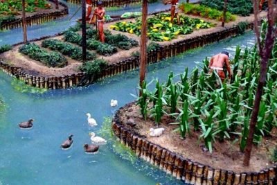 Agricultura de los mexicas