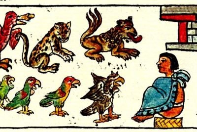 Qué animales domesticaron los mexicas