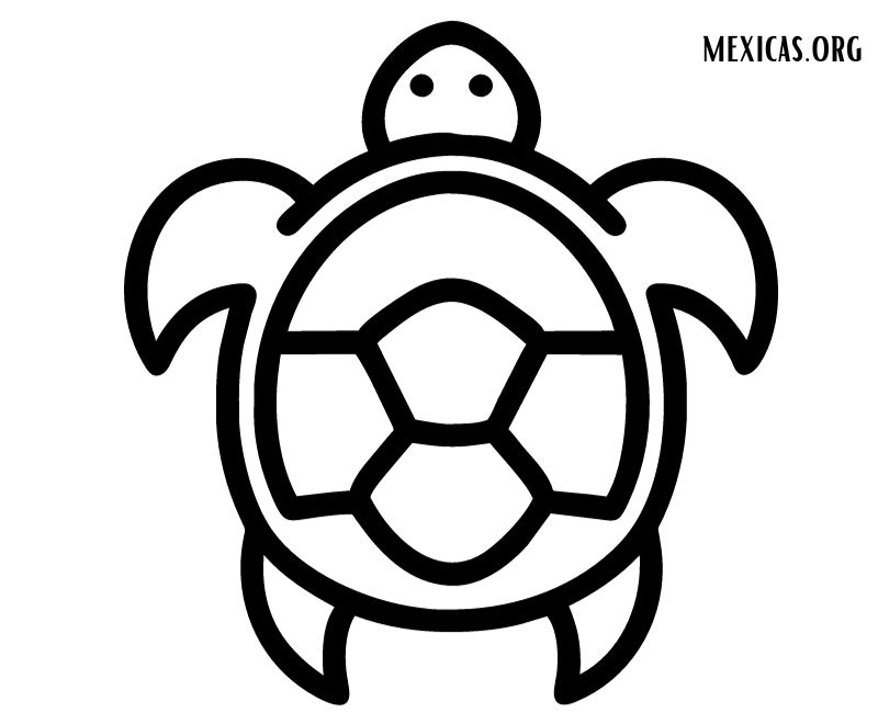 tortuga mexica para colorear